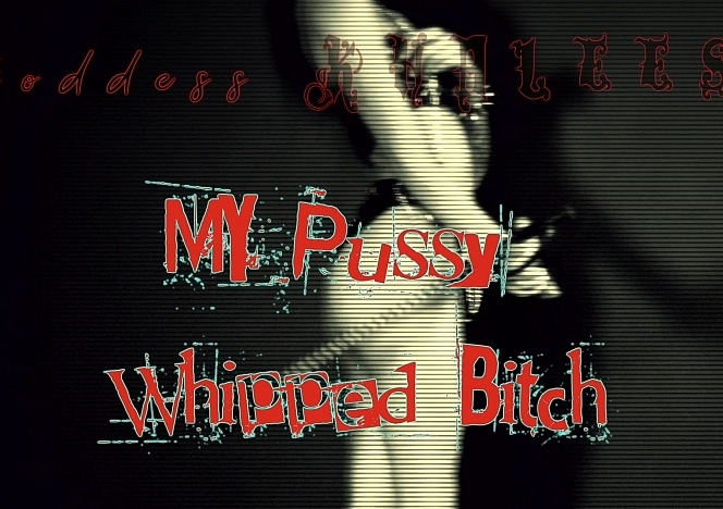 my_pussy_whipped_bitch